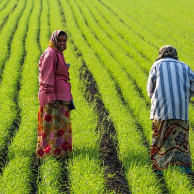 Scientists Urged To Boost Seeds And Natural Farming For Economic Growth