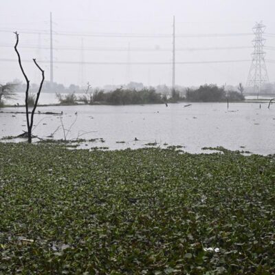 Delhi Faces Wetlands Crisis Amid Dispute Over Water Bodies and Low-Lying Land