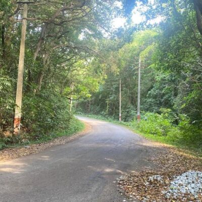 Karnataka seeks new Goa-Tamnar route through Western Ghats Forest