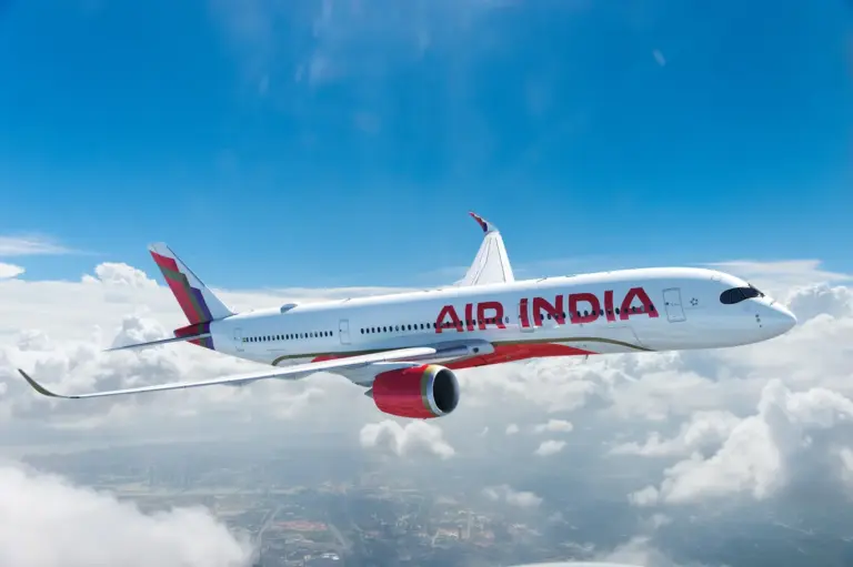 UN expert denied entry to India’s air crash investigation