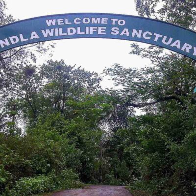 Goa Bondla zoo back open after three-month closure