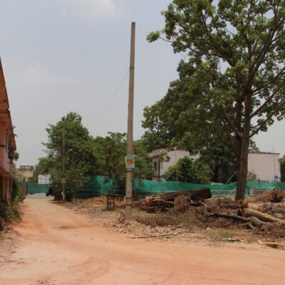 Delhi Exempts Tree Norms for Housing Project