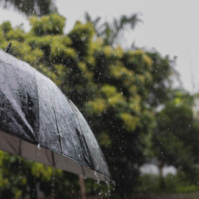 Delhi Welcomes Early Monsoon as Rain Covers All of India