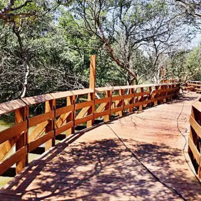 Mumbai Gorai to Welcome India First Mangrove Park by August