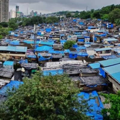 Mumbai Locals Slam BMC Over Grass Cover Plan