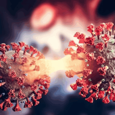 Mumbai Records Fifty Three New Covid Infections