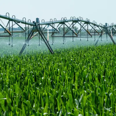 Global Food-Water Security Strengthened by Asia and Middle East Innovations