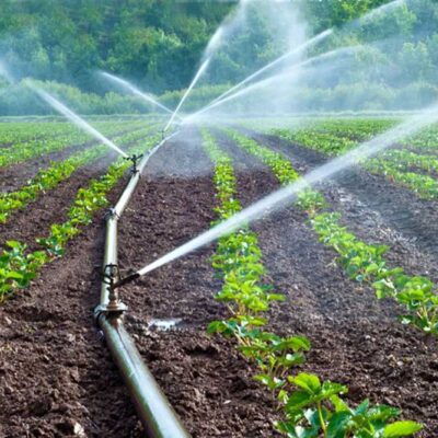 India teams with FAO to improve irrigation in water-stressed farms.