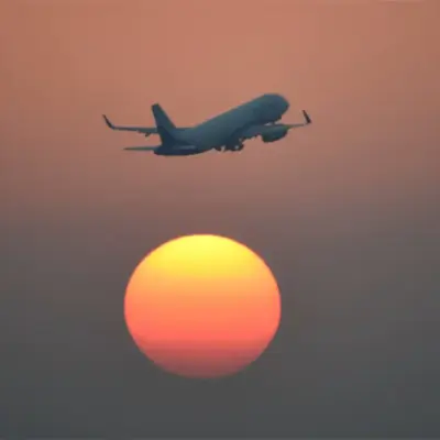 Mumbai Invites Startups to Tackle Aircraft Bird Risk