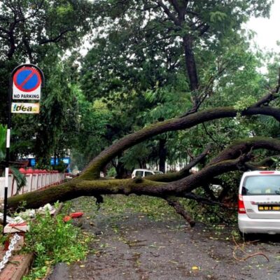 Goa Hit by Heavy Rains, Trees Block Roads