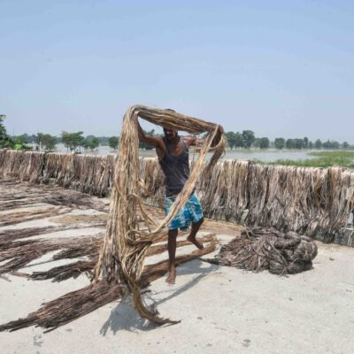 India Bans Jute Imports to Protect Rural Jobs and Local Manufacturing Economy