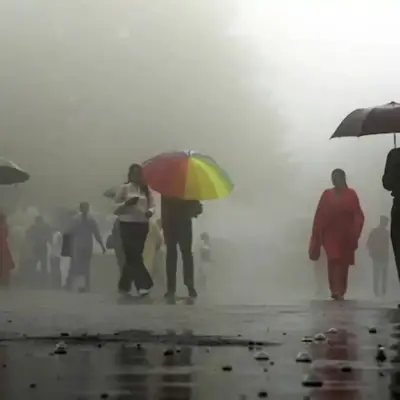 Monsoon Advances in Punjab, Haryana to See Rains Soon