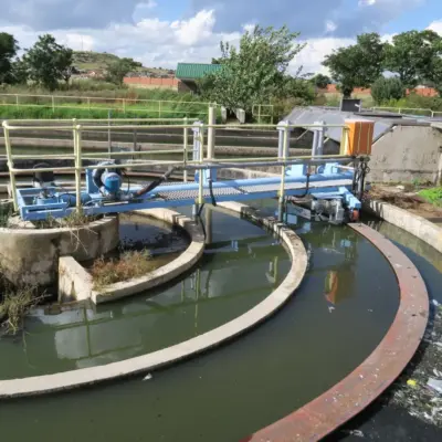 Toxic River Water Puts South Africa’s Fruit Export Industry At Risk