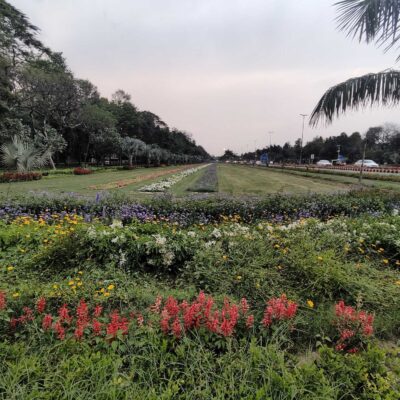 Delhi’s Nehru Park May Soon Become a Pollution-Free Zone