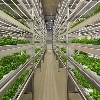Urban Farming Market to Hit 35 Billion by 2032