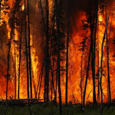 Wildfires Trigger Long-Term Water Contamination