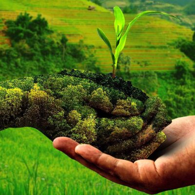 Surat Natural Farming Entrepreneur Inspires Rural Livelihood Shift