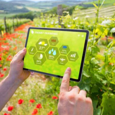Indore AI Farming Initiative Emerges From IIT Campus