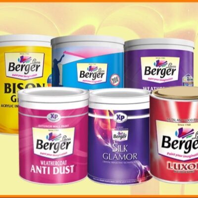 Berger Paints KYC Drive Strengthens Investor Compliance
