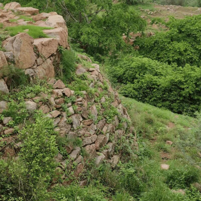 Delhi Sanjay Van Heritage Walk Promotes Urban Ecology