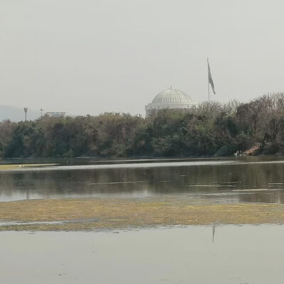 Flamingo Absence Signals Stress In Navi Mumbai Wetlands