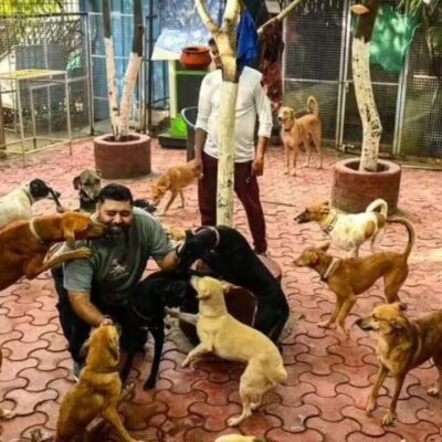 Delhi Integrates Air And Animal Welfare Systems
