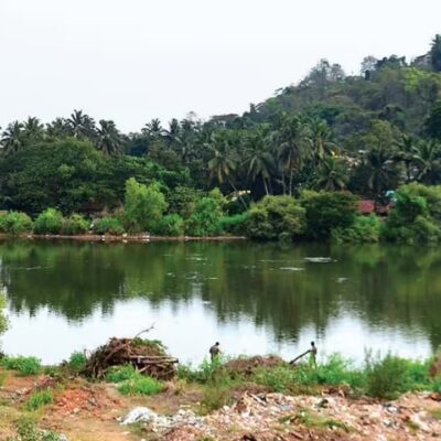 Goa High Court Orders Immediate Mala Lake Cleanup
