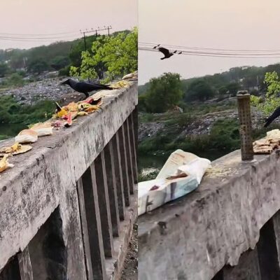 Pune River Chokes On Flowers And Religious Waste