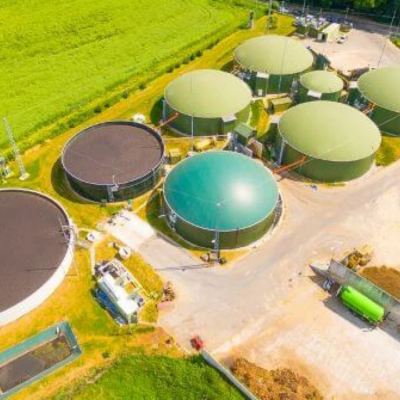 Delhi Plans Large Biogas Facility To Convert Dairy Waste Into Clean Energy