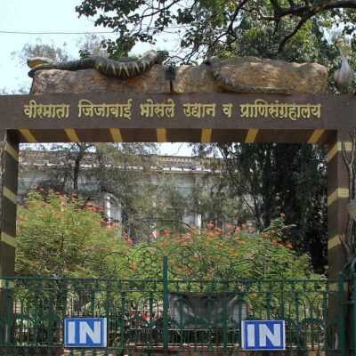 BMC Clears ₹61.77 Lakh Meat Supply Deal For Byculla Zoo