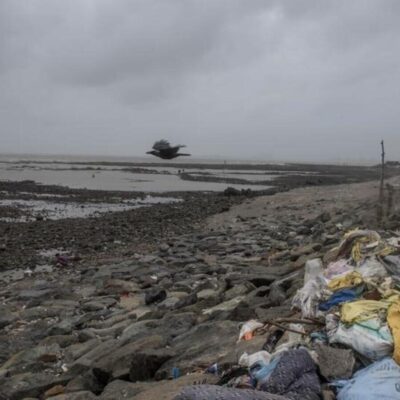BMC Begins Monsoon Beach Maintenance Plan At Dadar And Chimbai
