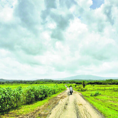 Over 72000 Trees And Water Bodies To Be Cleared For Palghar Port Highway
