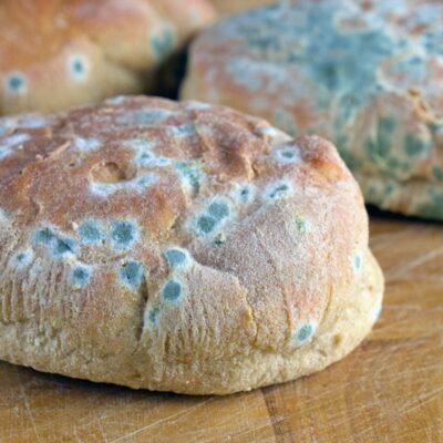 Ahmedabad Food Safety Alert After Contaminated Bread Case