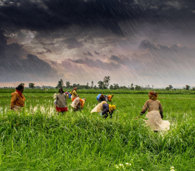 sustainable growth banking