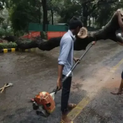 Pune Faces 500 Tree Axe On Ganeshkhind Road