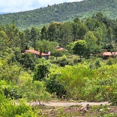 Nagpur Tipeshwar Eco Zone Crackdown Targets Illegal Resorts
