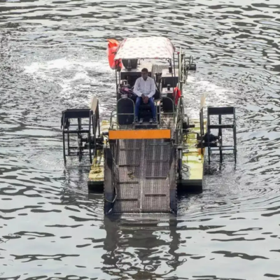 Delhi Faces Governance Test In Yamuna Cleanup
