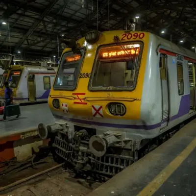 Mumbai Harbour Line Services Disrupted By OHE Failure