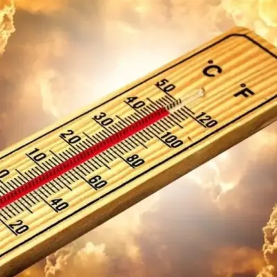 Hyderabad Heatwave Alert Raises Urban Health Concerns
