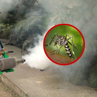 Mumbai Deploys Mosquito Control Device For Disease Prevention