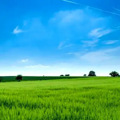 Nagpur Saoner Land Clearance Spurs Industrial Corridor