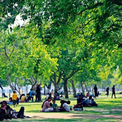 Delhi Green Action Plan Targets Seven Million Trees