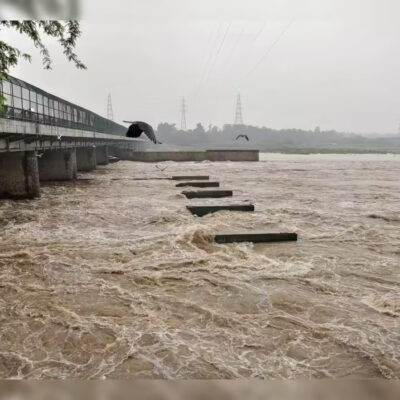 Delhi Yamuna Pollution Surge Raises River Health Alarm
