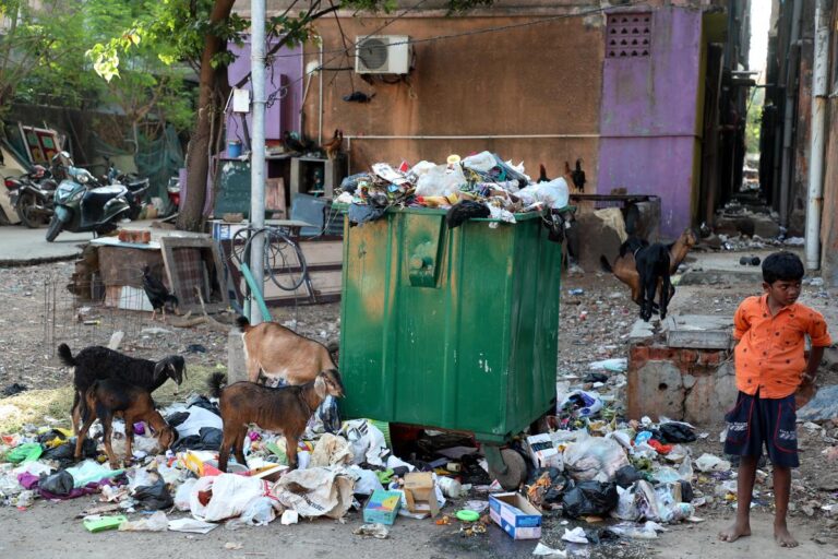 Chennai Public Spaces Face Growing Waste Misuse