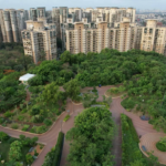 Mumbai Urban Forestry Plan Maps Every Tree