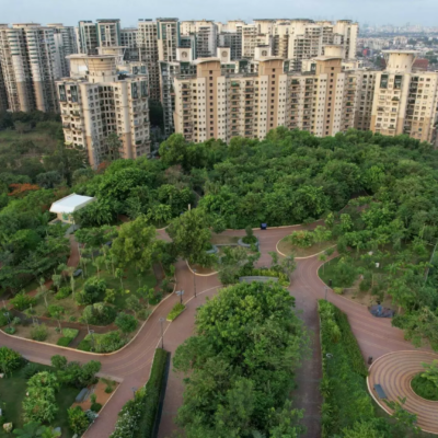 Mumbai Urban Forestry Plan Maps Every Tree