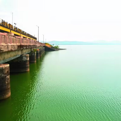 Maharashtra Dam Storage Drop Raises Supply Concerns