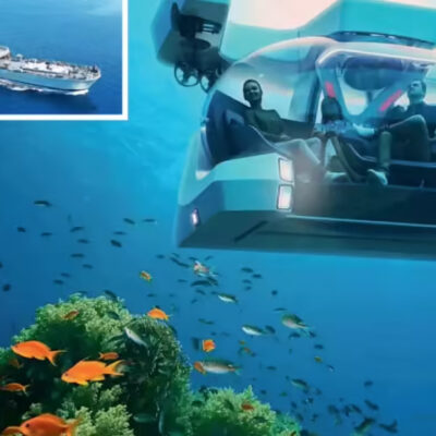 Maharashtra Expands Marine Tourism With Artificial Reef