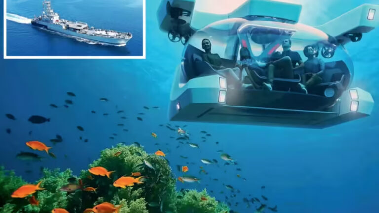 Maharashtra Expands Marine Tourism With Artificial Reef
