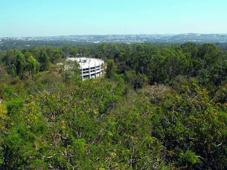 Bengaluru Sports Expansion Faces Forest Sustainability Questions